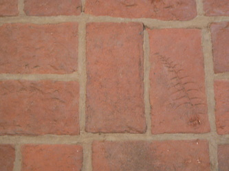 Brick flooring with leaf impression
